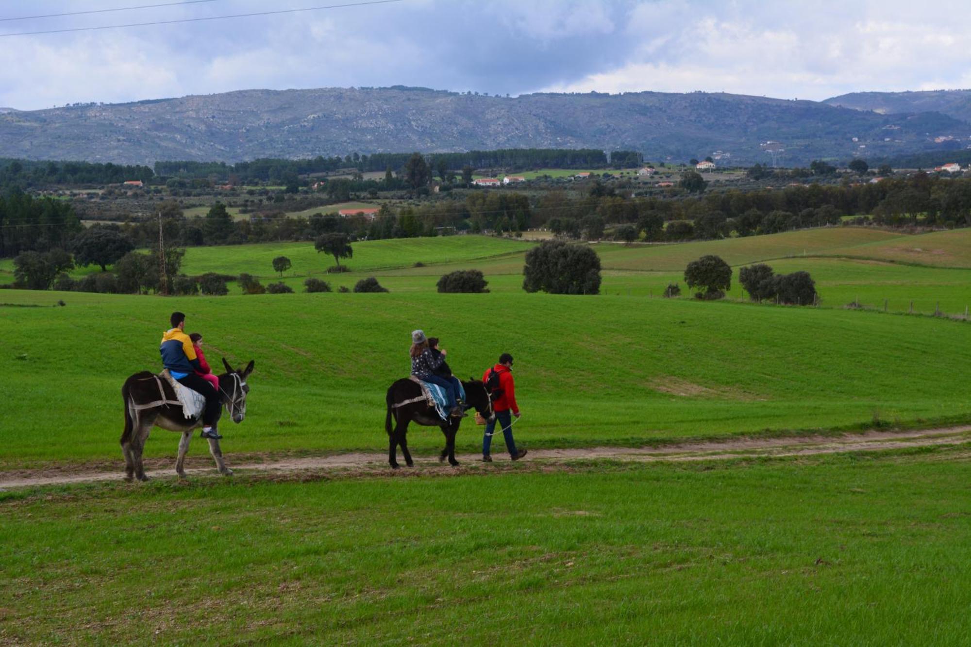 Turismo Rural 4Quintas Minhocal