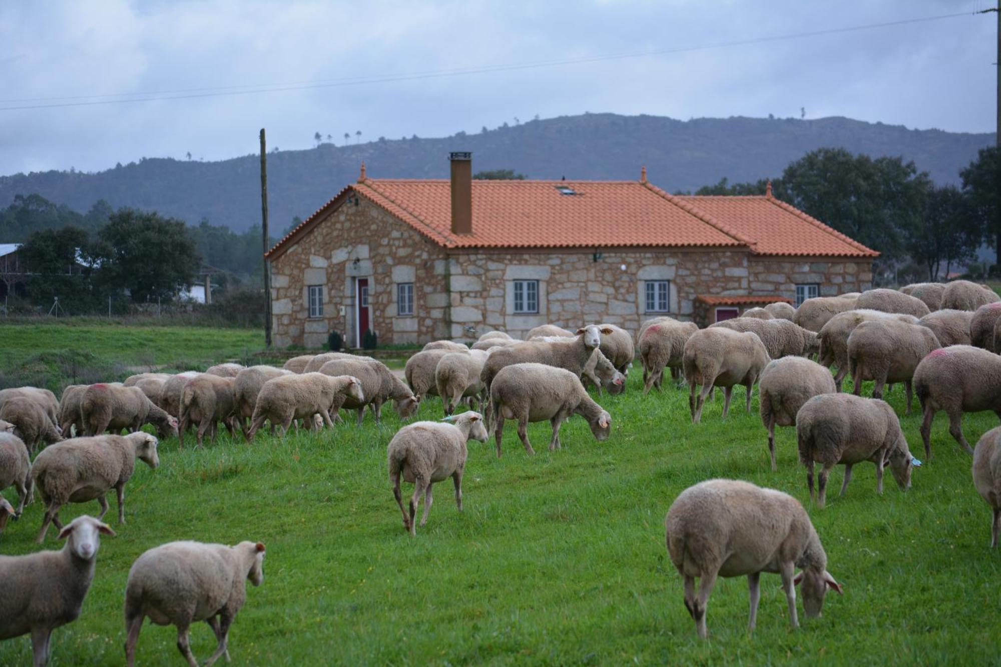 Turismo Rural 4Quintas Minhocal